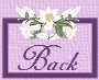 back icon