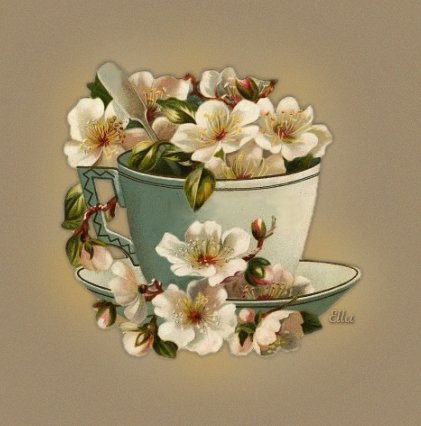 cup