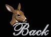 back icon