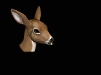 blank icon