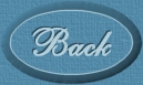 back icon