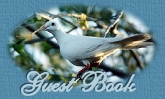 guestbook