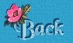back icon
