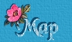 map icon
