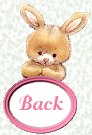 back icon