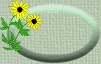 blank icon