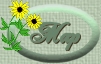 map icon