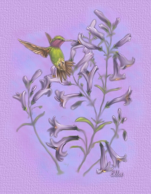 bird