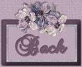 back icon