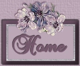 home icon