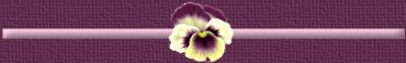 Divider
