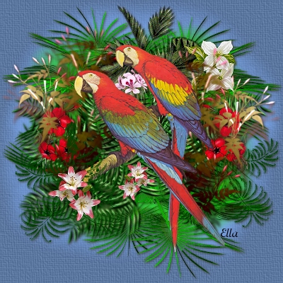 parrots