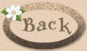back icon