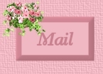 mailicon