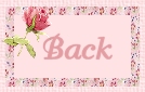 back icon