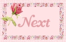 next icon