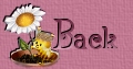 back icon