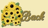 back icon