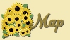 map icon