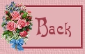 back icon