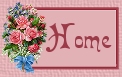 home icon