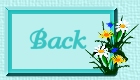 back icon