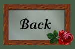 back icon