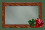 blank icon