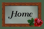 home icon