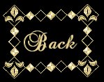 back icon
