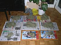 58