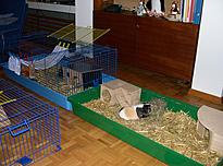 Bild 59