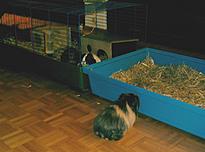 Bild 66
