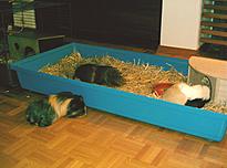 Bild 67
