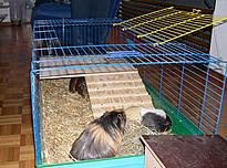 Bild 71