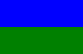 DCI's Flag