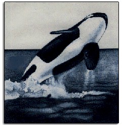 Our Natl. Marine Animal