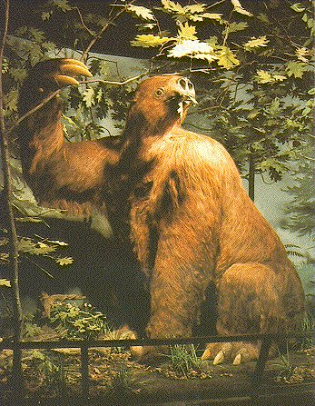 Sloth: As
Was