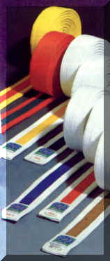 belts3.jpg (22341 bytes)
