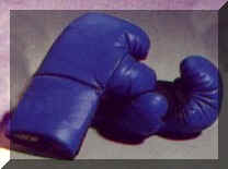 boxing1.jpg (9703 bytes)