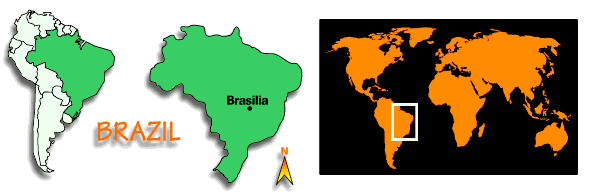 carte du Br&eacute;sil