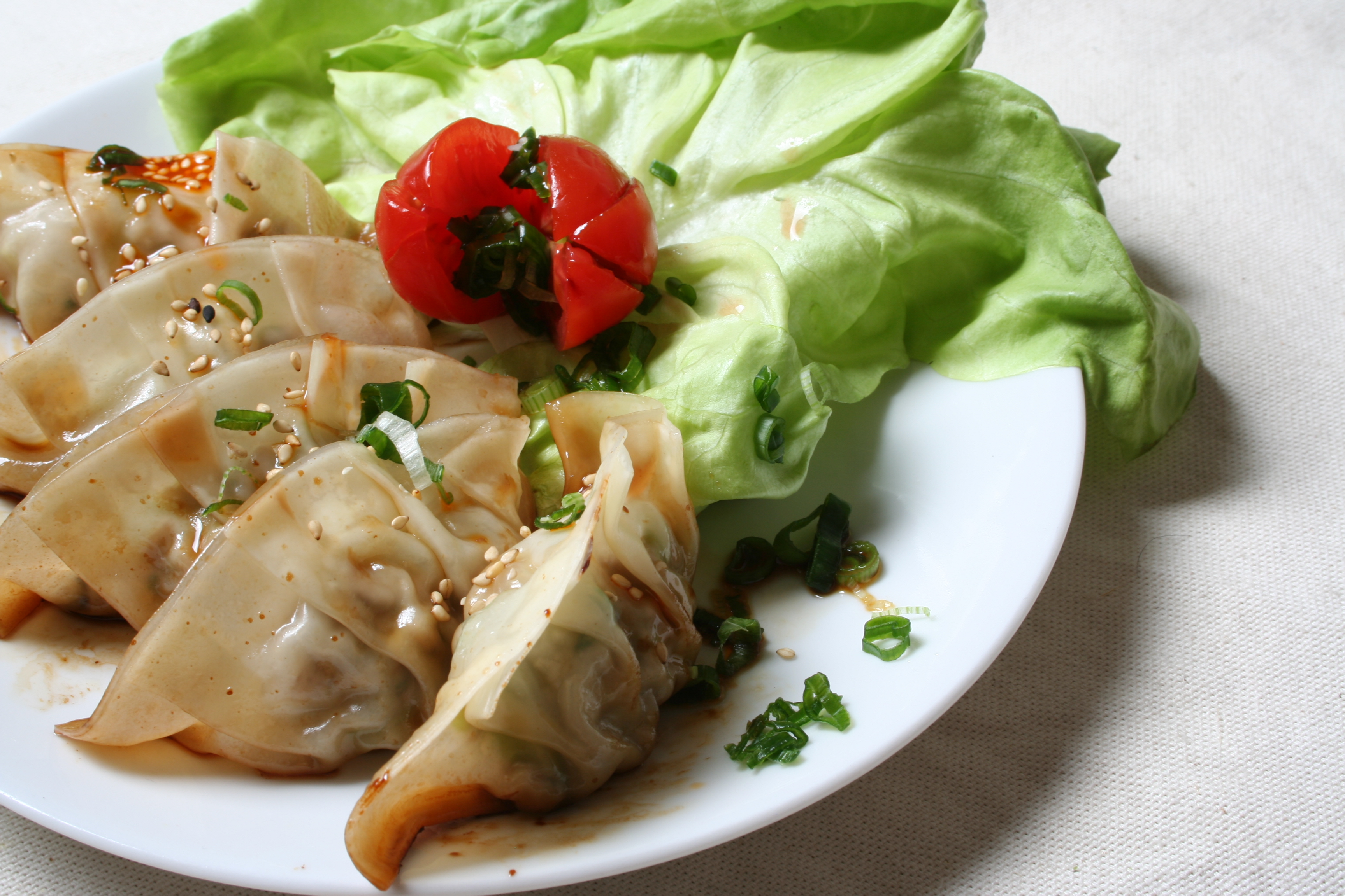 Pork Dumplings.
