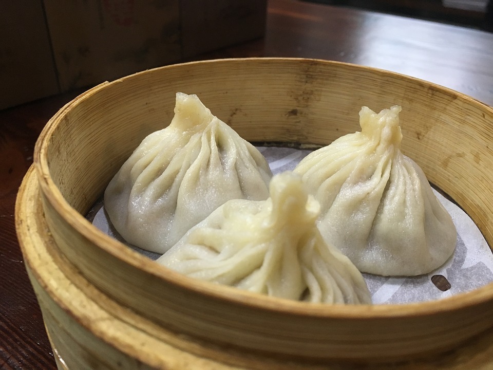 dumplings photo
