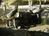yellow_jeep2.jpg (128978 bytes)