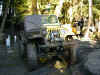 yellow_jeep6.jpg (116711 bytes)