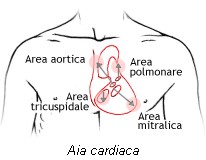 Aia cardiaca