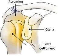 Aspetto antero-posteriore