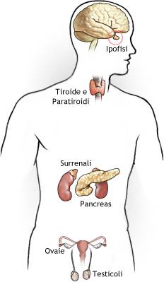 Ghiandole endocrine