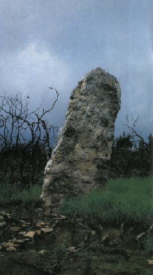 MARCO DA PENA VERDE