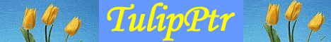 tulipptr.com